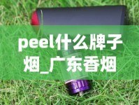 peel什么牌子烟_广东香烟批发代理_广西哪里有罐装香烟卖