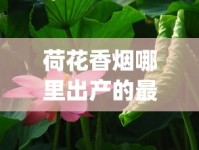 荷花香烟哪里出产的最好_中华香烟厂家怎么联系_市场上面便宜又有卖的香烟