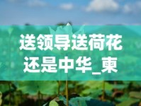 送领导送荷花还是中华_柬埔寨代工软中华_25元左右抽得舒服的烟