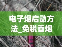 电子烟启动方法_免税香烟批发货源网_香烟批发联系
