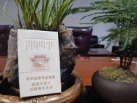 最贵的荷花香烟多少钱一包_外烟购买微信一手货源_最先进的无烟柴火灶