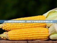 2023最新石斛爆珠香烟测评：5款热门产品哪款更值得老烟枪入手？