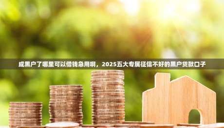 2025年娇子细支黑盒市场黑马：口感之谜与设计革新背后的秘密