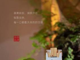 2023年低价香烟实测：红河5-10元档谁才是性价比之王？