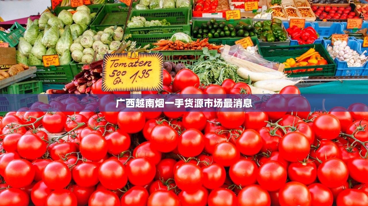 2025揭秘：小熊猫香烟真卖100一包？高价背后藏着哪款硬通货