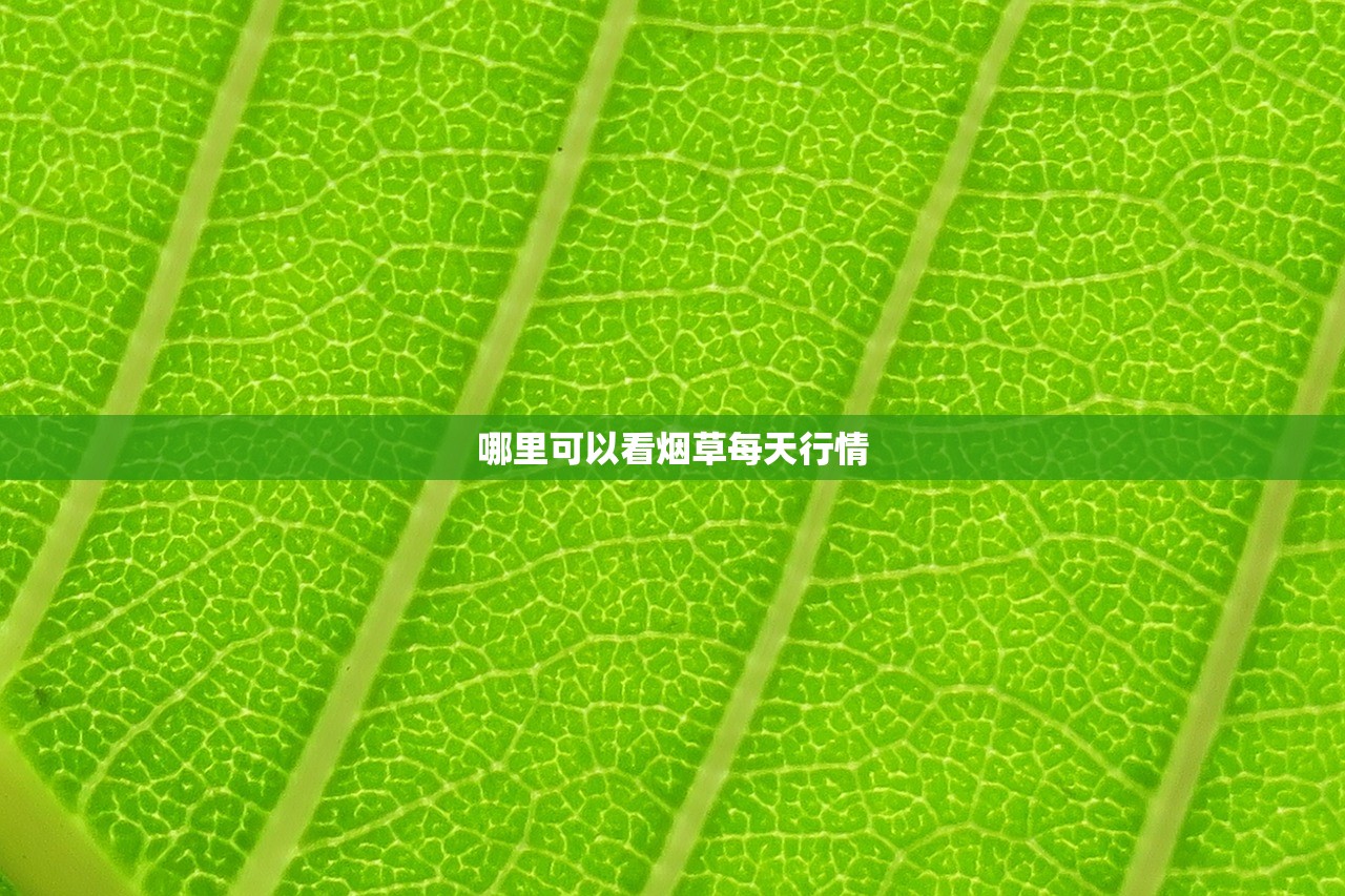 2023长沙白色香烟价格大揭秘：这些品牌竟比去年贵了20%！