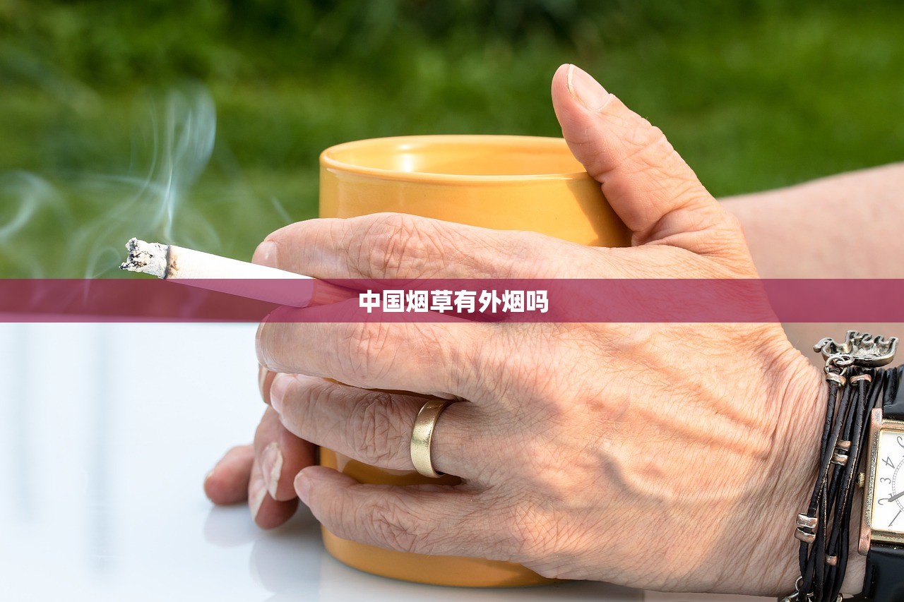 2025年最新空烟筒批发价格波动内幕：烟商必看省钱攻略