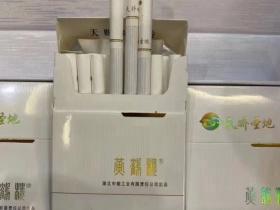 2023最新研究：香烟过滤嘴真能护肺？实验结果令人震惊