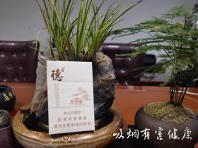 2023最新曝光！云霄口粮一手货源背后的秘密，低价渠道如何避坑？