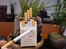 2023最新越南香烟购买攻略：隐藏渠道+价格对比，教你省钱买到正品！