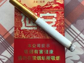 2023年阿诗玛中支价格新变动！不同地区差价竟超X元？