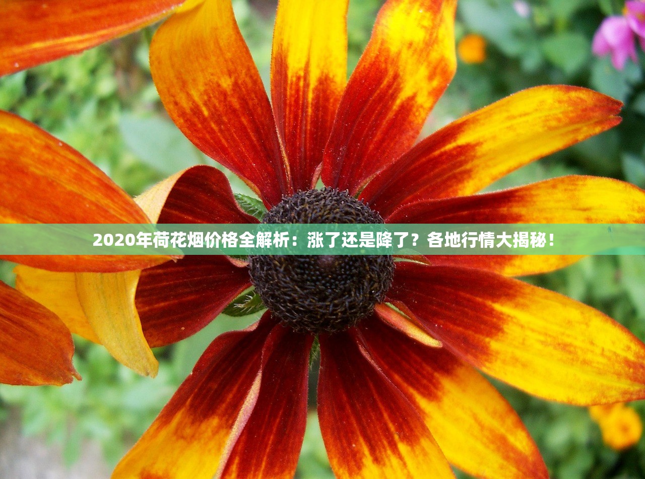 2023最新曝光！汕尾免税香烟一手货源揭秘，低价正品直供渠道竟藏在这里？