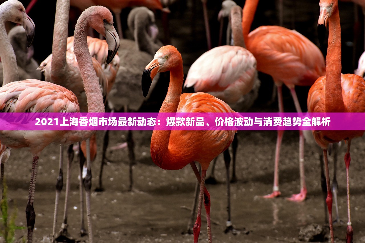 2025年紫气东来细支香烟价格大揭秘：这些隐藏款竟卖断货！