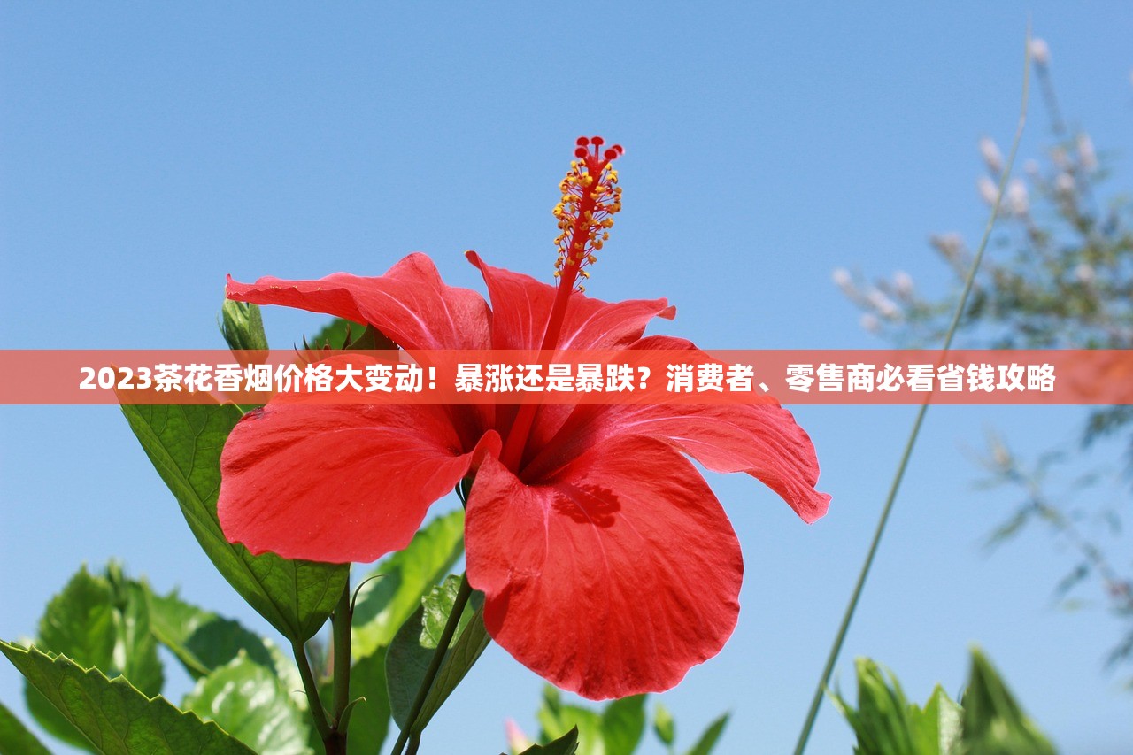 2025代工香烟货源暗战：一手批发价直降30%？
