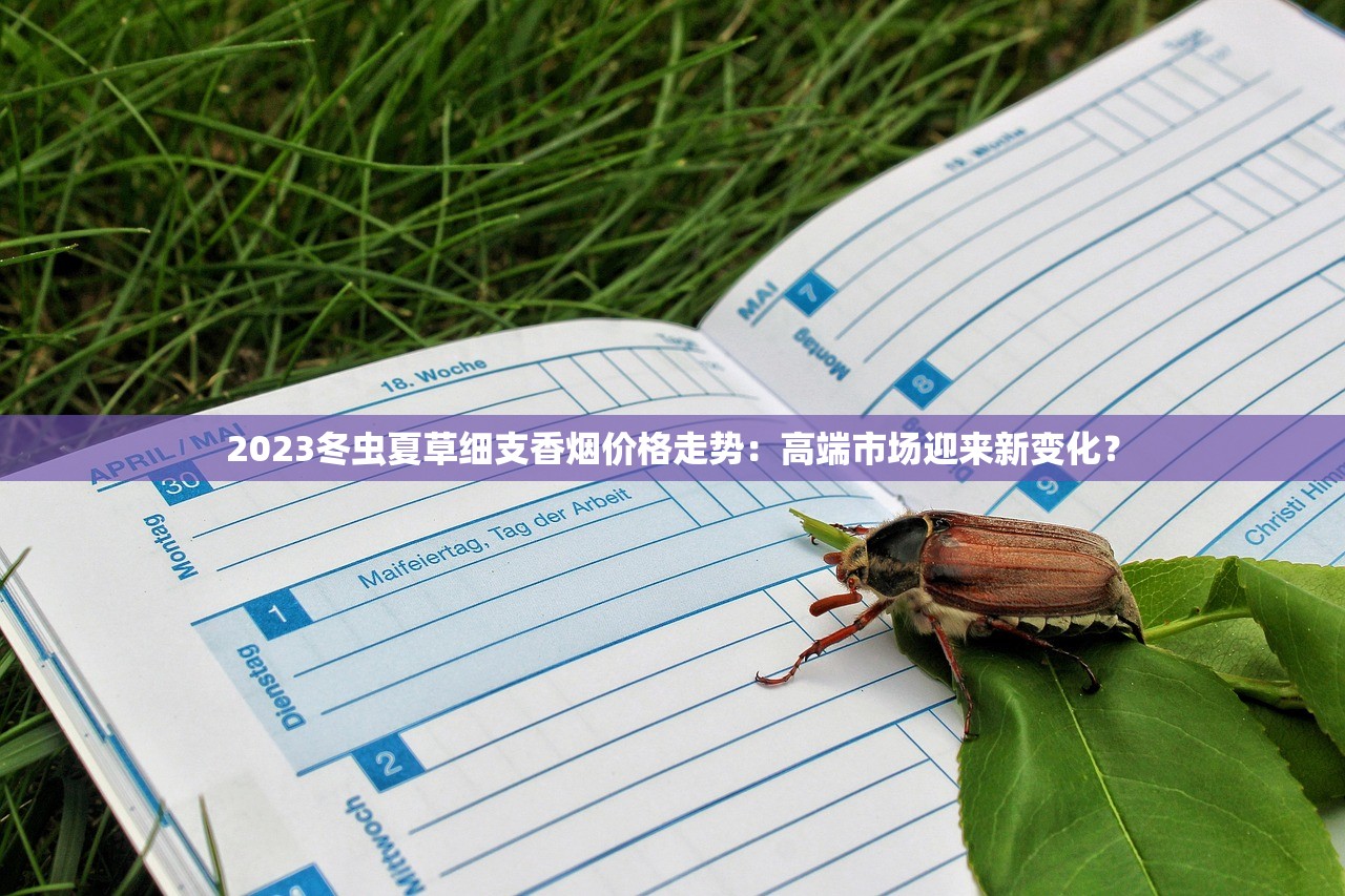 2023最新探访：北京烟斗专卖店隐藏宝藏曝光，资深烟民必看！
