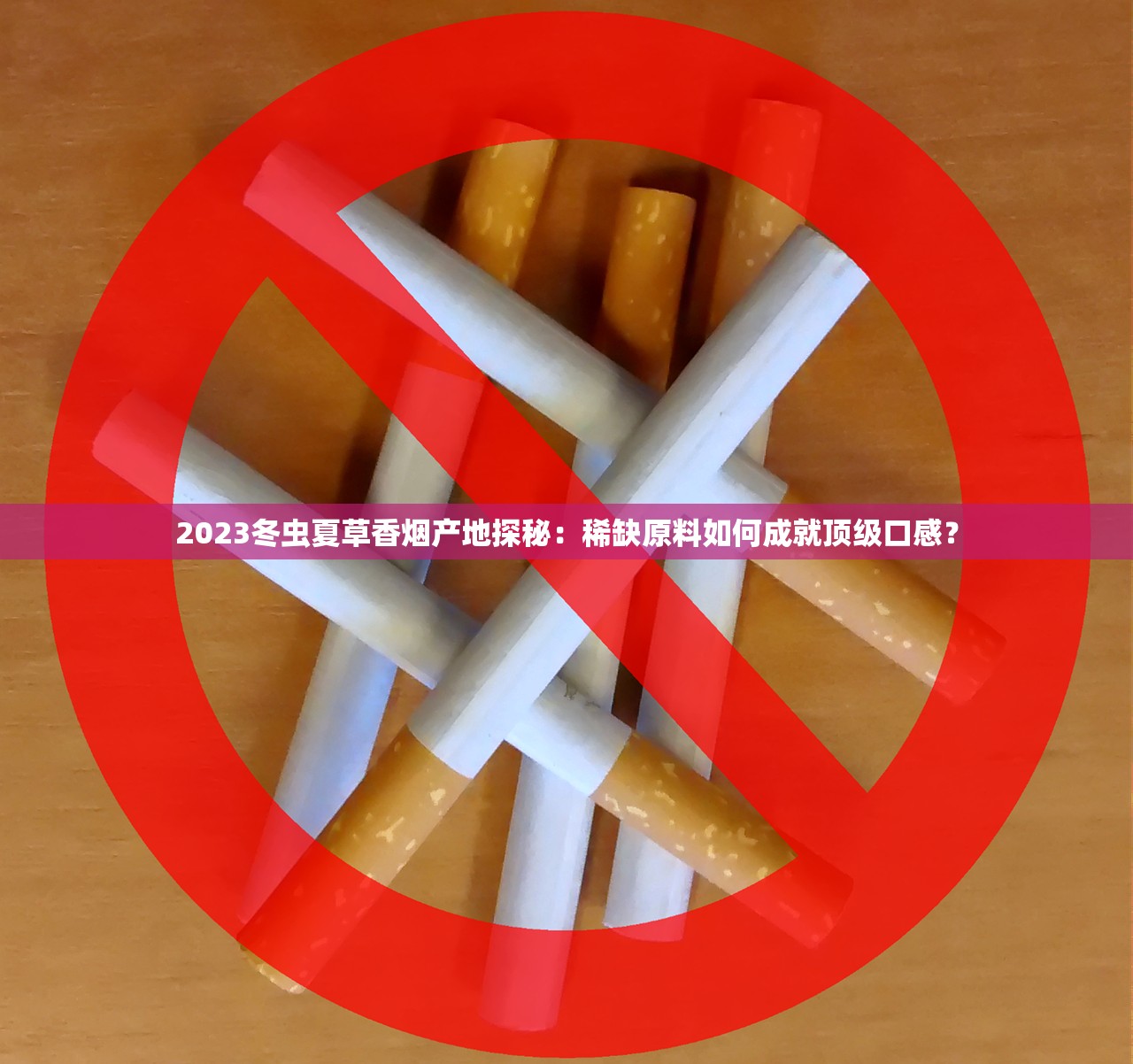 2023雪茄市场黑马！顺百利XY5口感颠覆，资深茄客为何集体热议？