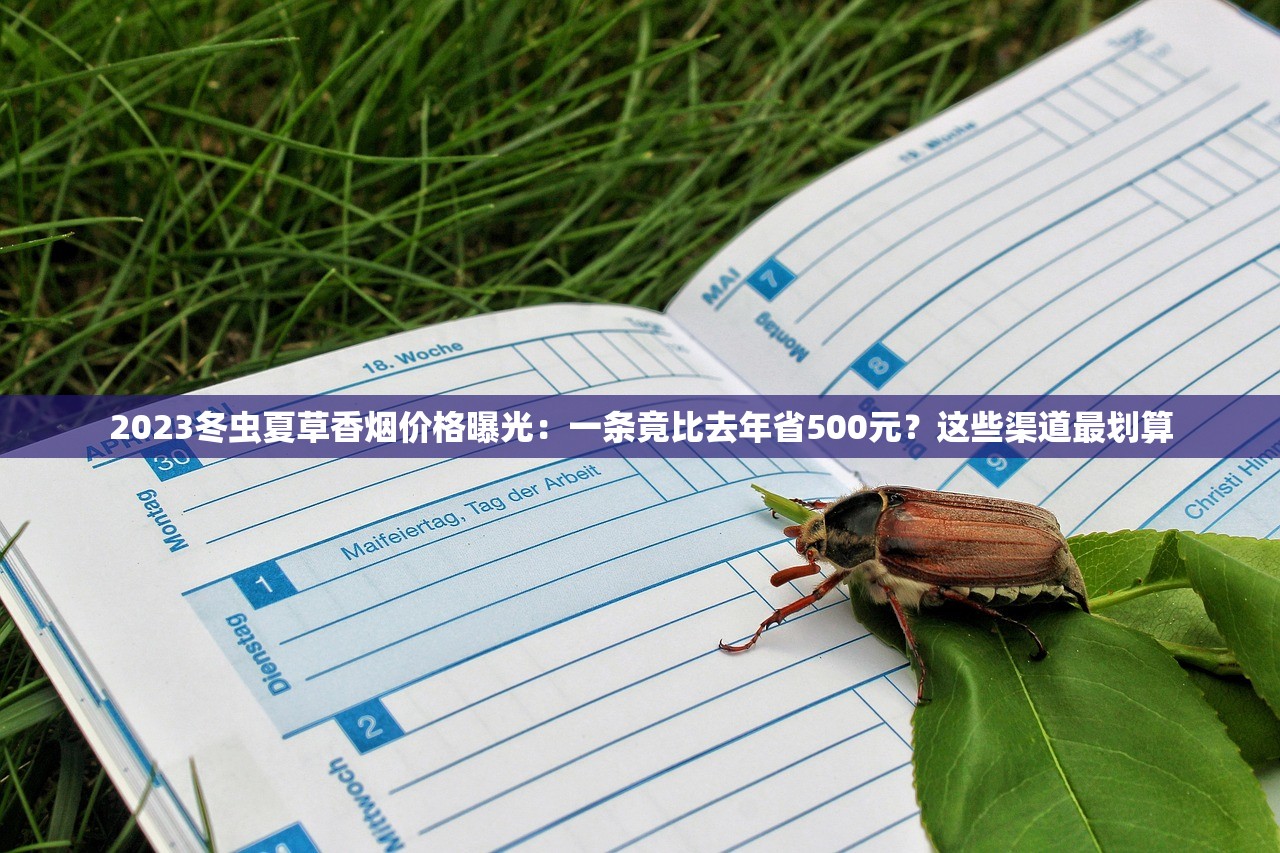 2025百乐爆珠旗舰店升级：揭秘年度爆款新风向