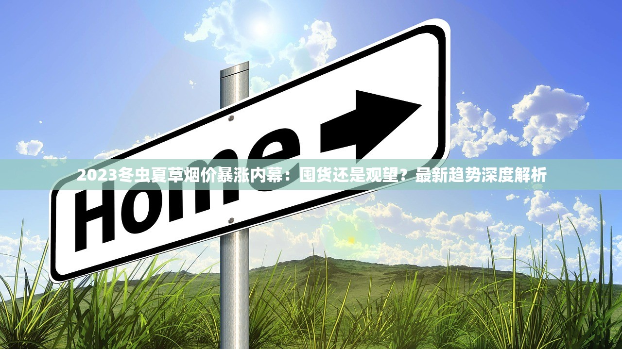 2023雪茄市场黑马！顺百利XY5口感颠覆，资深茄客为何集体热议？