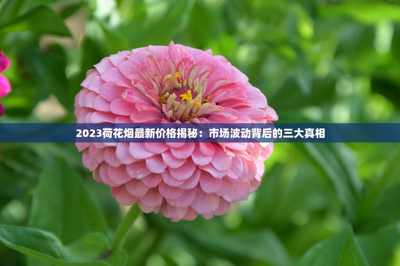2024免税香烟批发新政落地！全国货到付款，省钱攻略抢先看