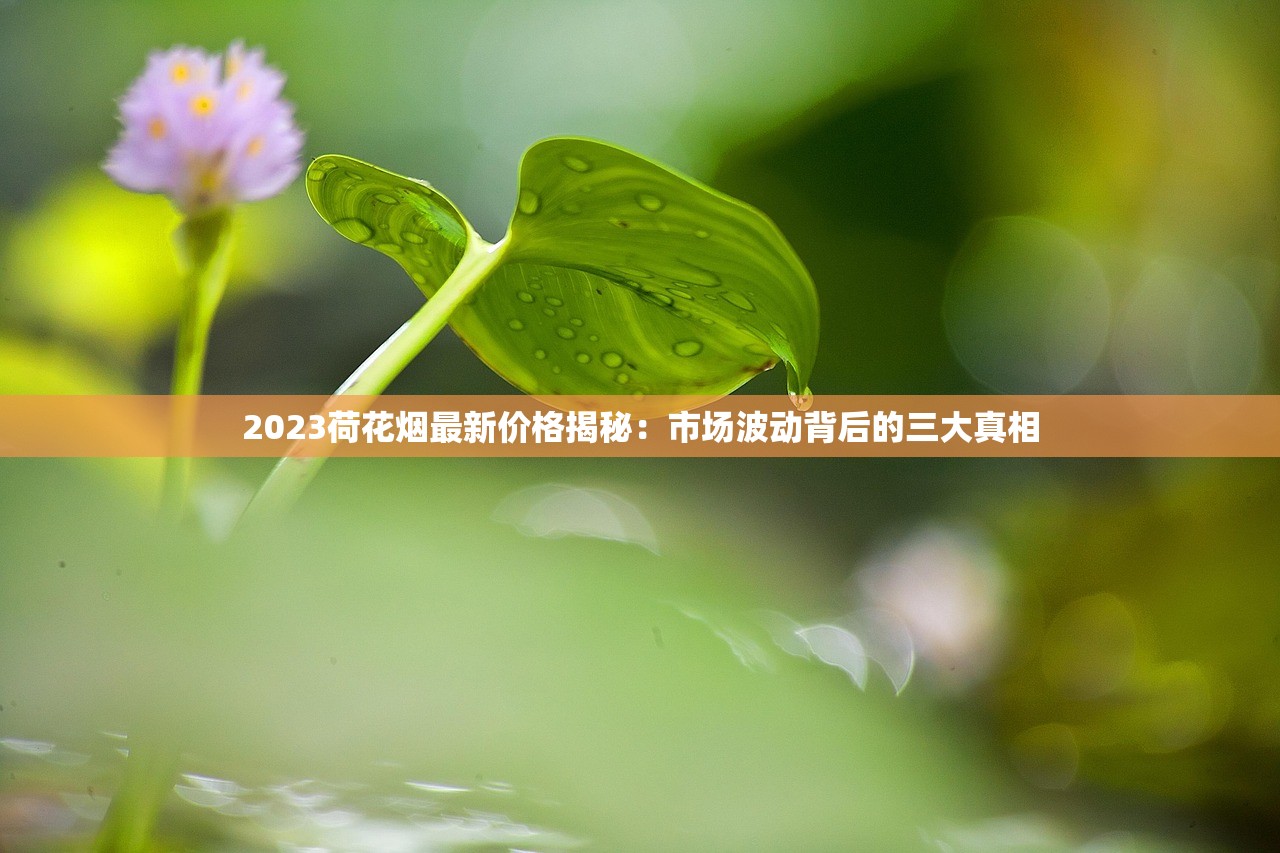 2023荷花烟最新价格揭秘：市场波动背后的三大真相