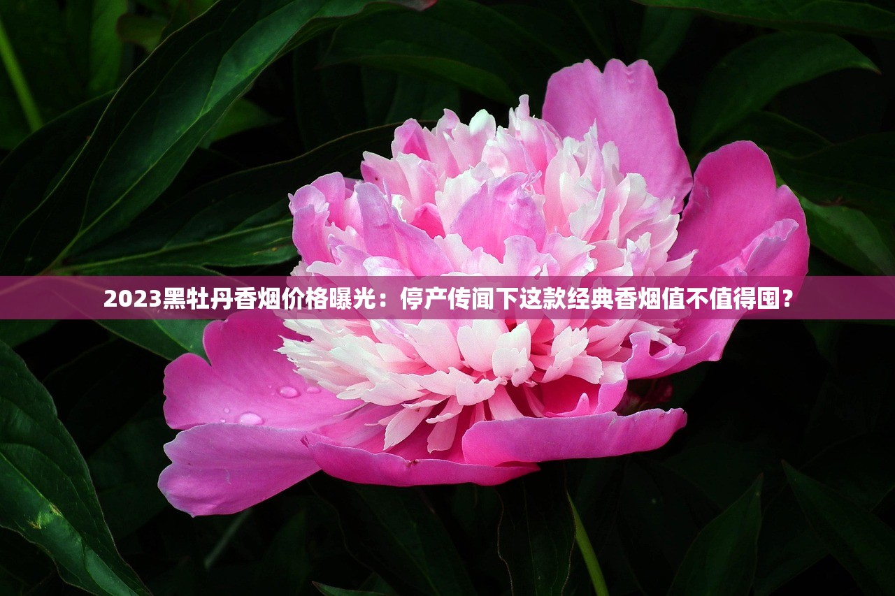 2023年八喜烟最新价格曝光！一条烟盒省多少钱？这些渠道别错过