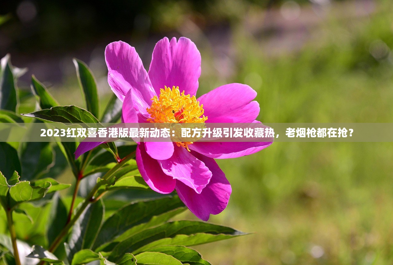 2023最新曝光：延安烟厂究竟在哪？实地探访揭秘老烟民最爱的生产全流程