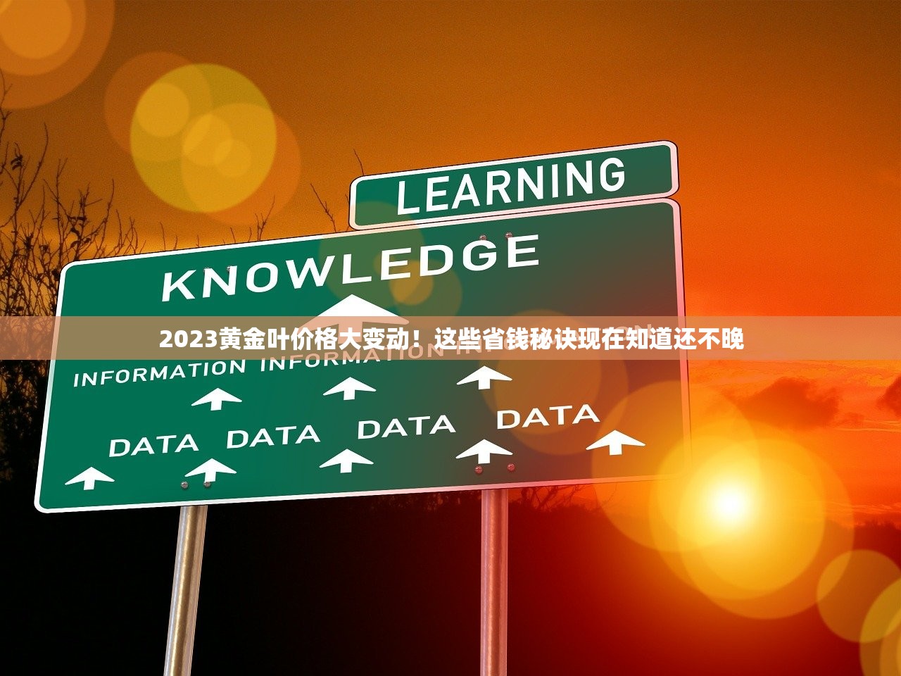 2023泰山香烟细支价格大全：省钱攻略+爆款评测，哪款最值？
