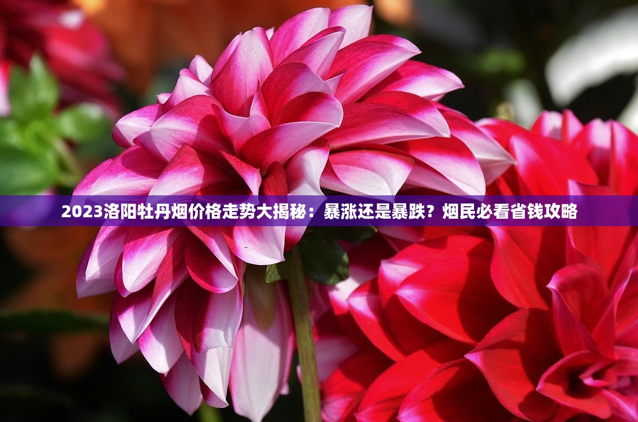2023最新云烟进货价曝光：10元档背后隐藏哪些行业秘密？
