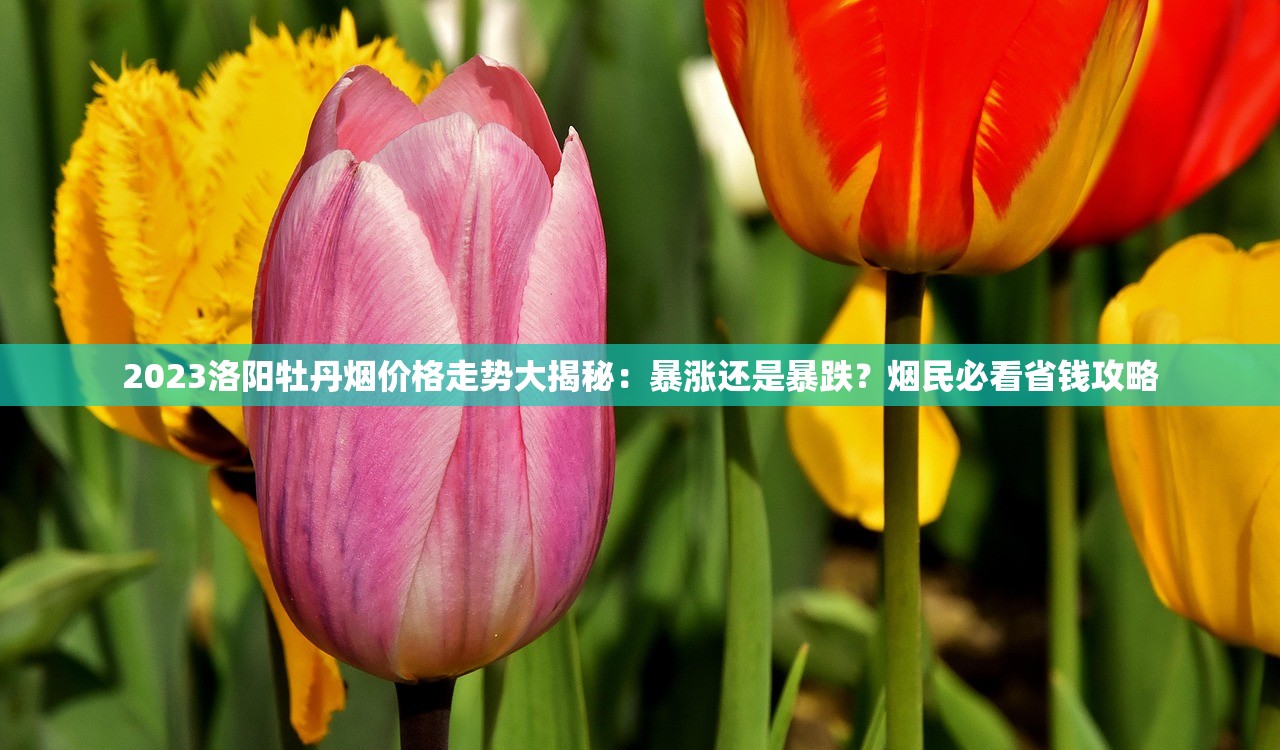 2025免税烟自用新规：抽两根也违法？这些红线必须知道