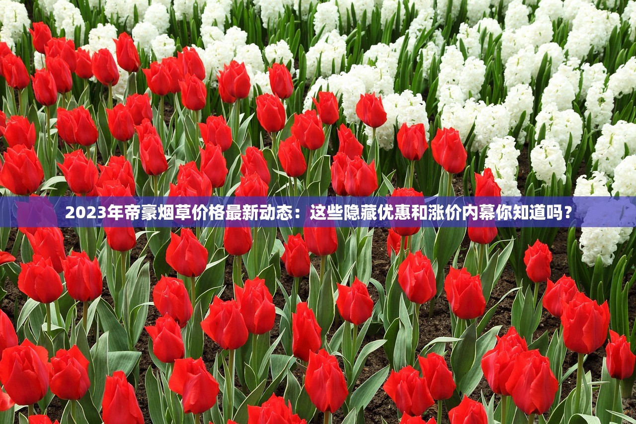 2023年帝豪烟草价格最新动态：这些隐藏优惠和涨价内幕你知道吗？