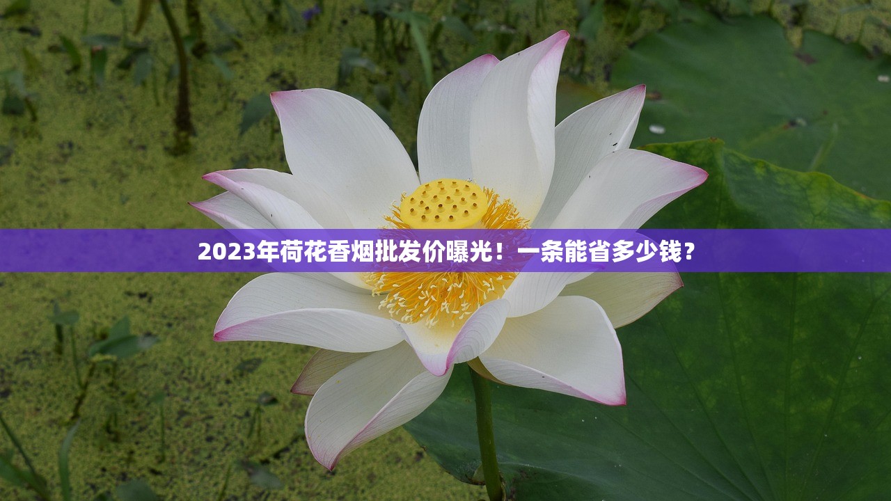 2024北京香烟福寿康宁实测：老烟民亲测口感变化，45元值不值？