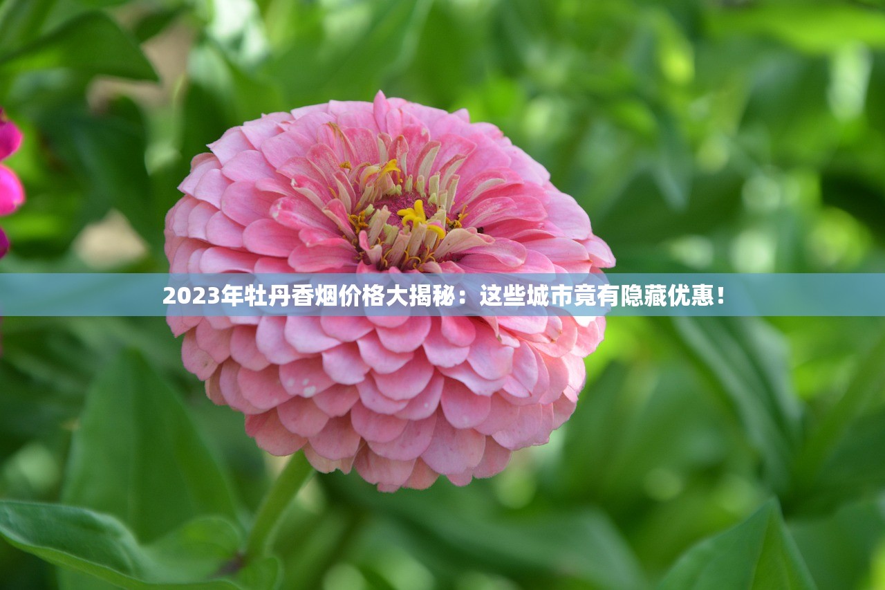 2024最新七匹狼香烟价格表：这些隐藏优惠和停产款竟成烟民热议！