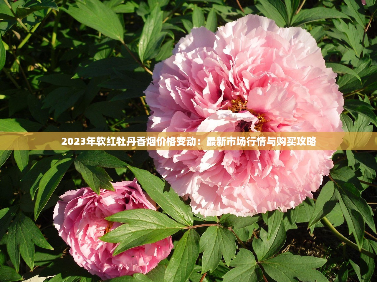 2025高仿国烟代理新风口：月入10万+的秘密渠道曝光！