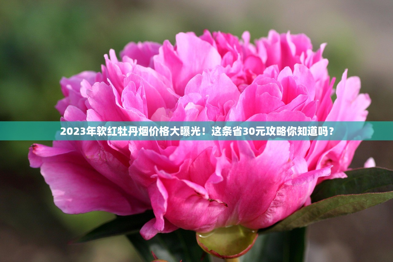 2025年最新盘点：3元香烟的隐藏宝藏清单（附真实烟民评测）
