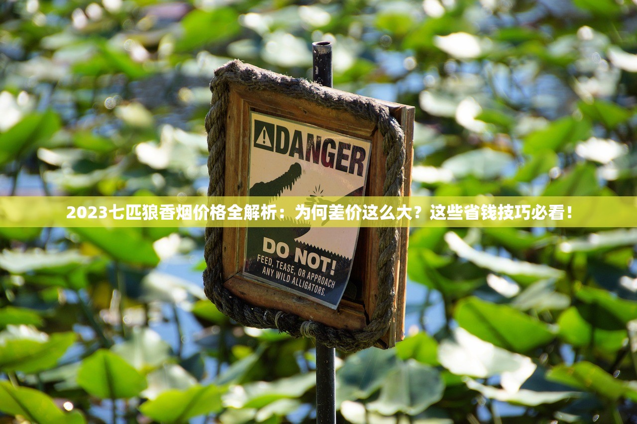 2025年黄鹤楼烟蓝新动向：为何引发老烟枪集体囤货？