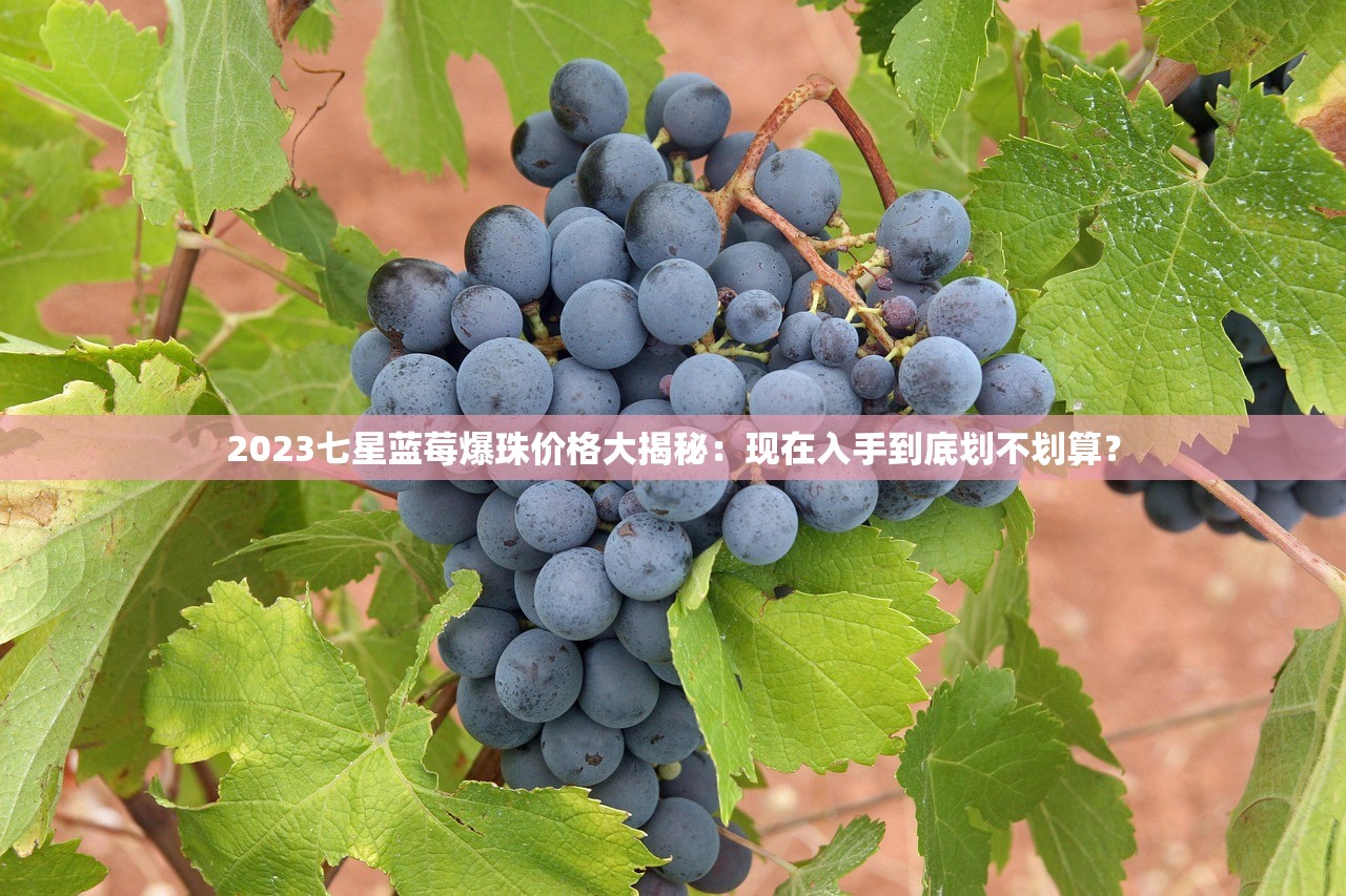 2023最新评测！越南烟民票选十大口感王 资深老饕亲测不踩雷榜单