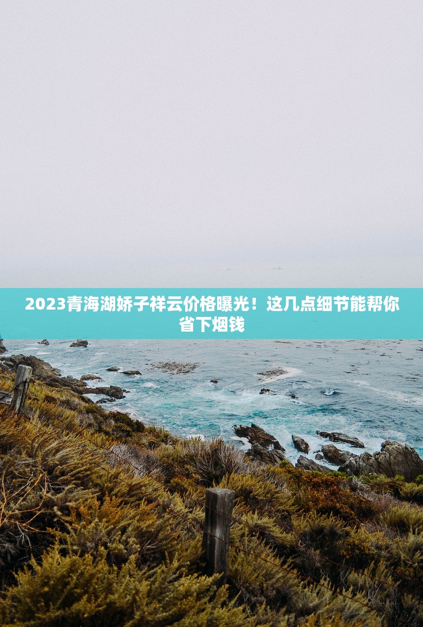 2025年中国最贵香烟揭晓：天价背后藏着哪些秘密？