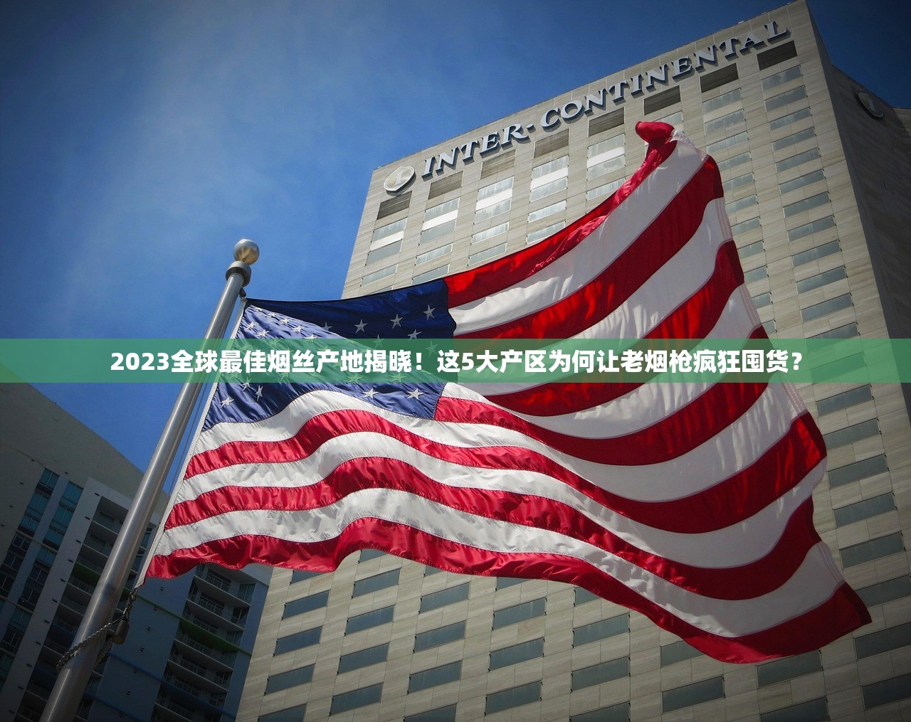 2023烟草进货渠道新规：中小店主如何低成本锁定优质货源？（附避坑指南）