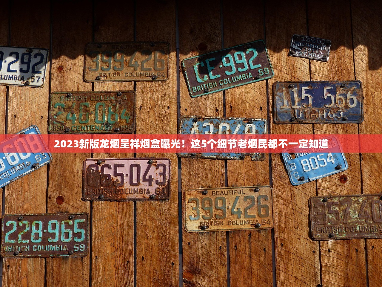 越南代工红玫王价格大揭秘！最新市场行情与购买风险深度解析（附对比数据）