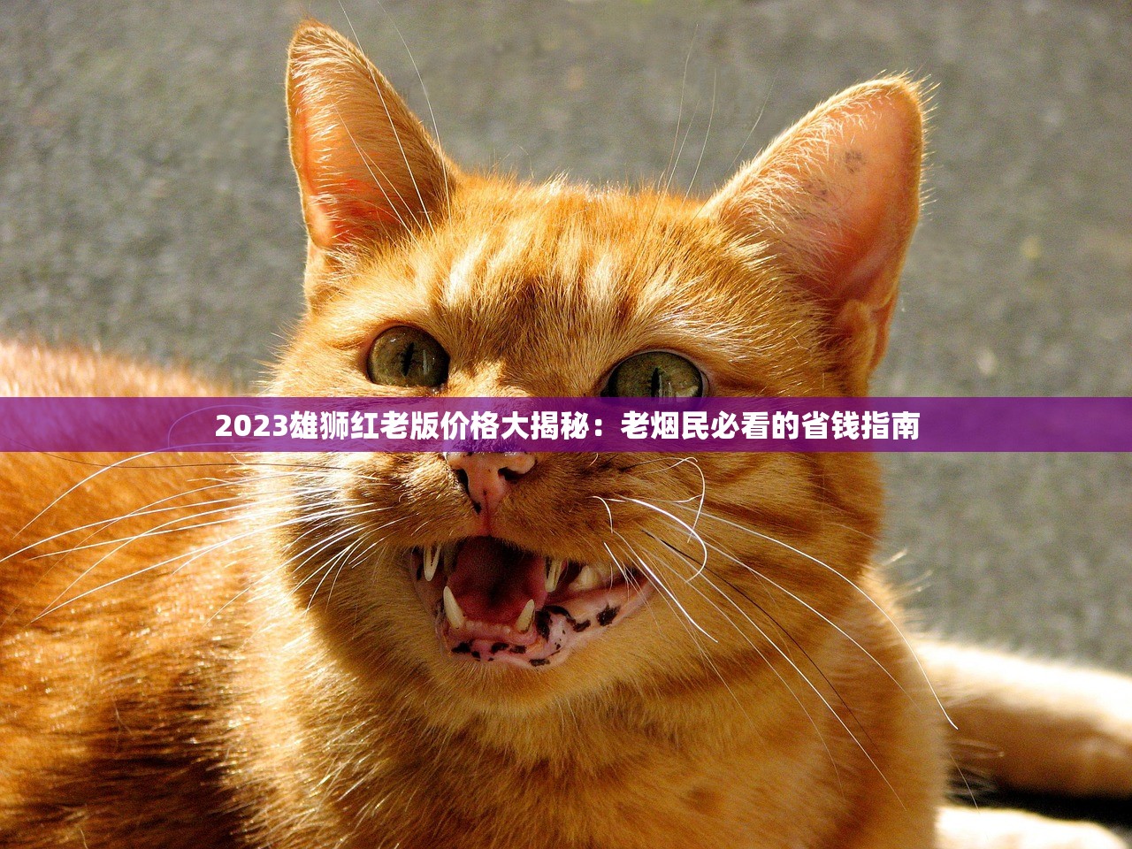 2025最新！钓鱼台香烟全系价格曝光：哪些款悄悄涨价了？