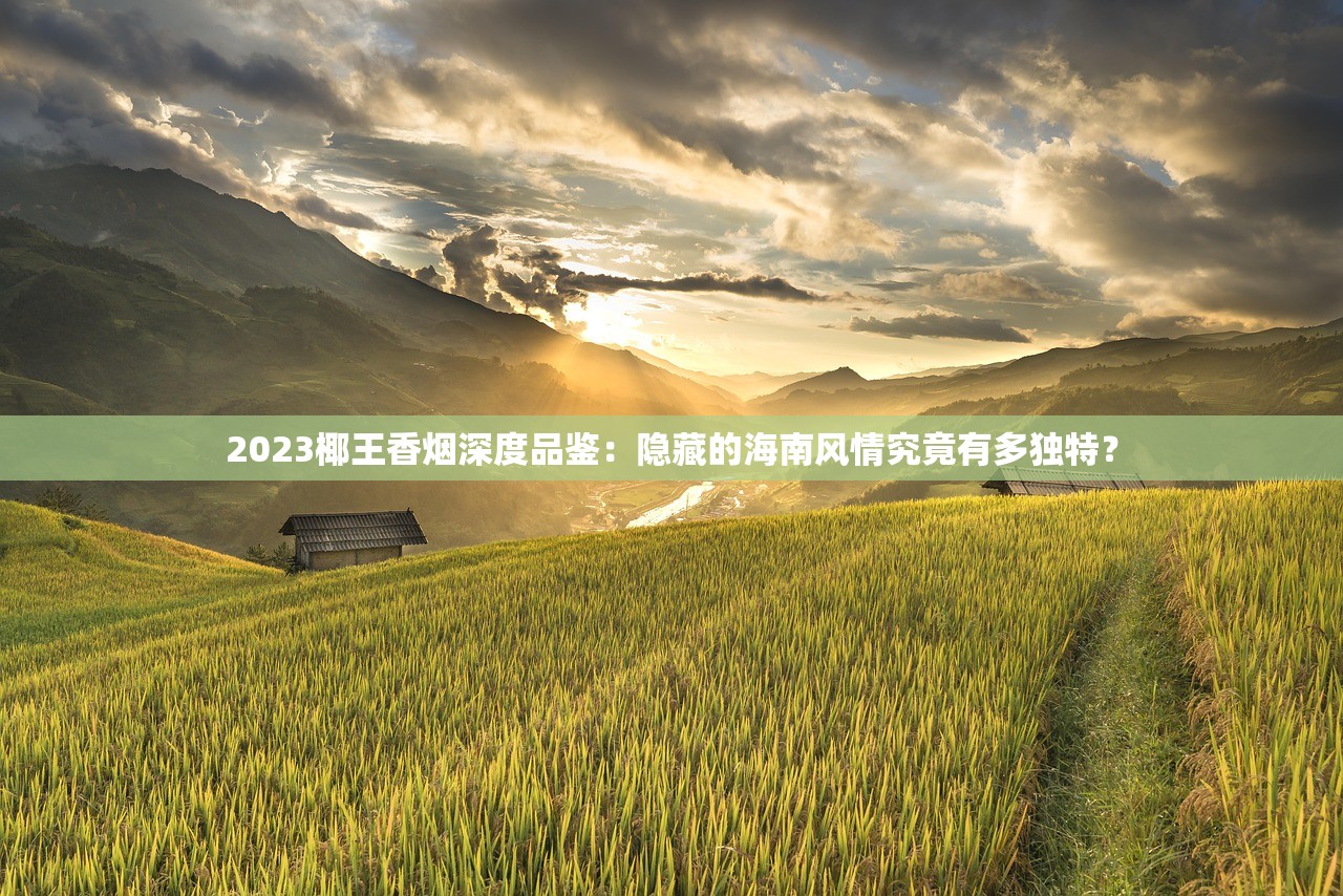 2023椰王香烟深度品鉴：隐藏的海南风情究竟有多独特？