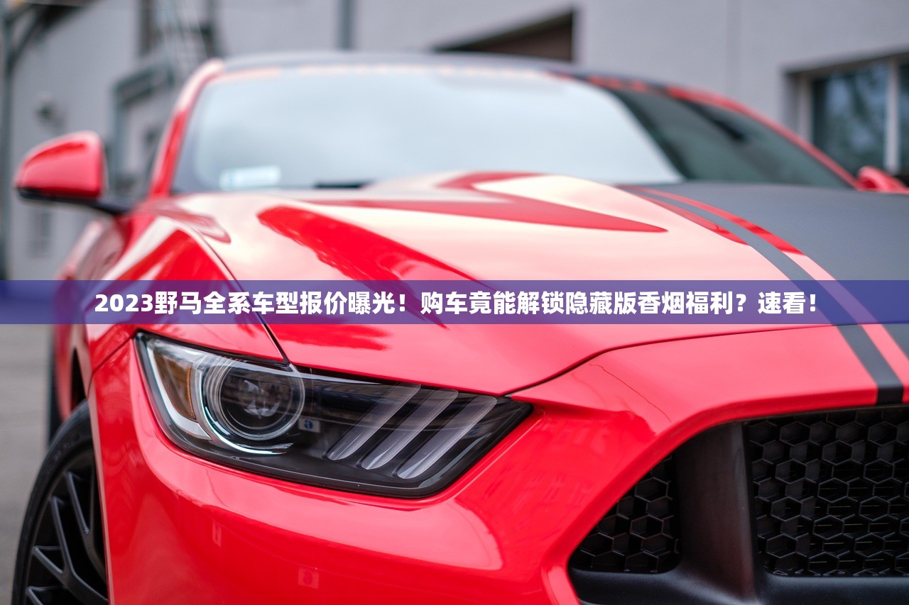 2025钻石香烟全系价格曝光！荷花系列竟有千元款？