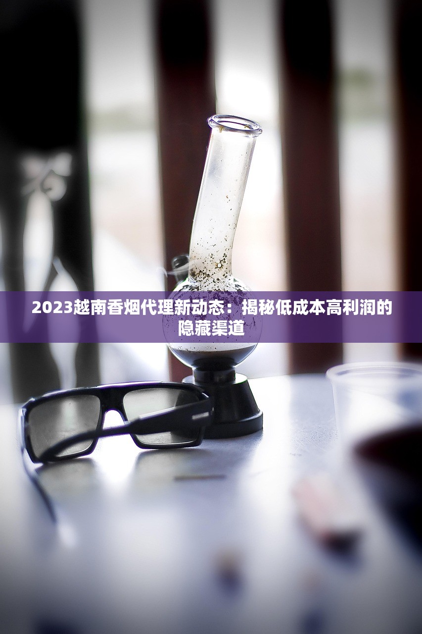 2023最新硬中华批发价曝光：为何波动？这些省钱攻略必看！