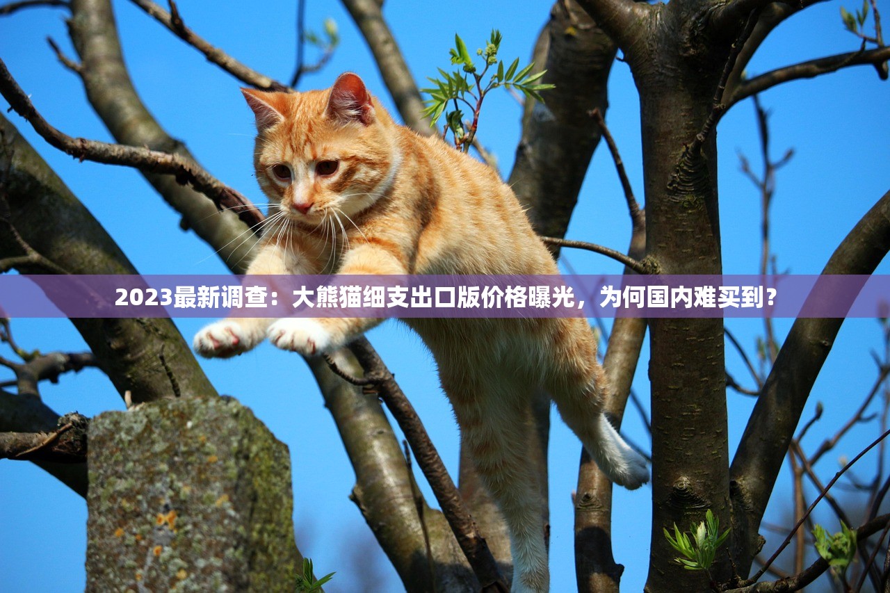 2025大前门香烟价格迷局：正品单包竟比整条贵？