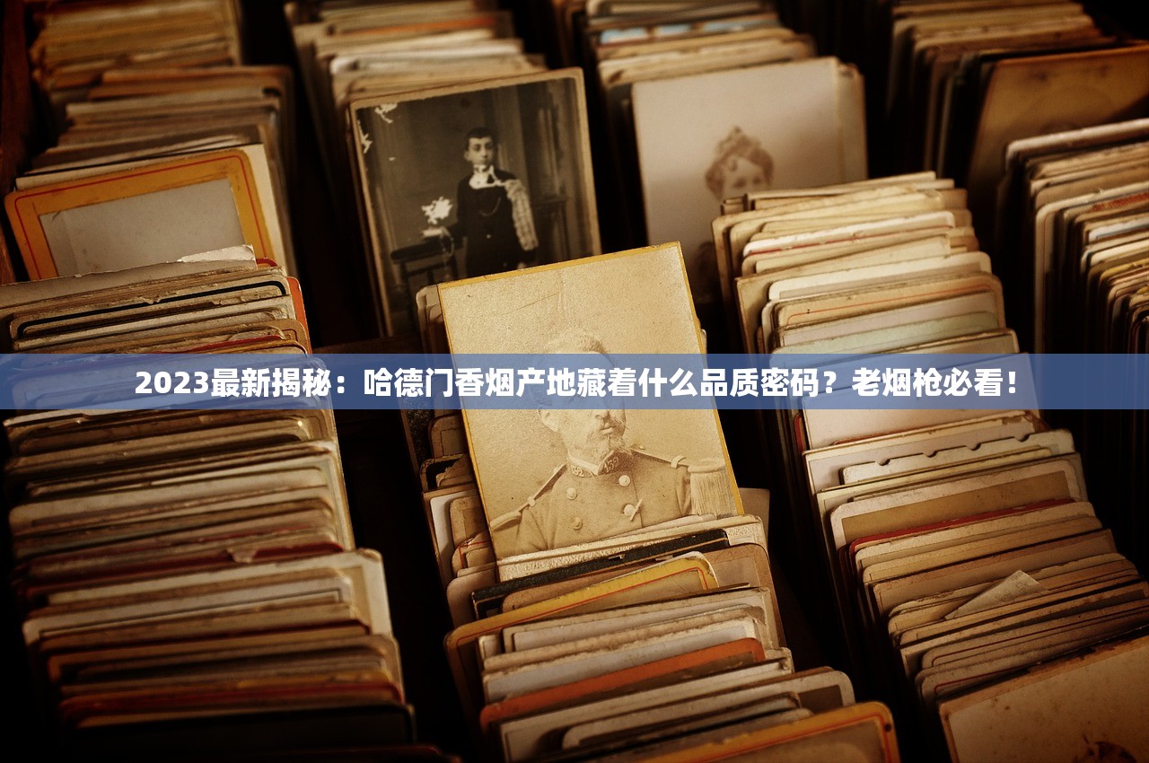 2025呼伦贝尔香烟价格大起底：这些款式为何成抢手货？