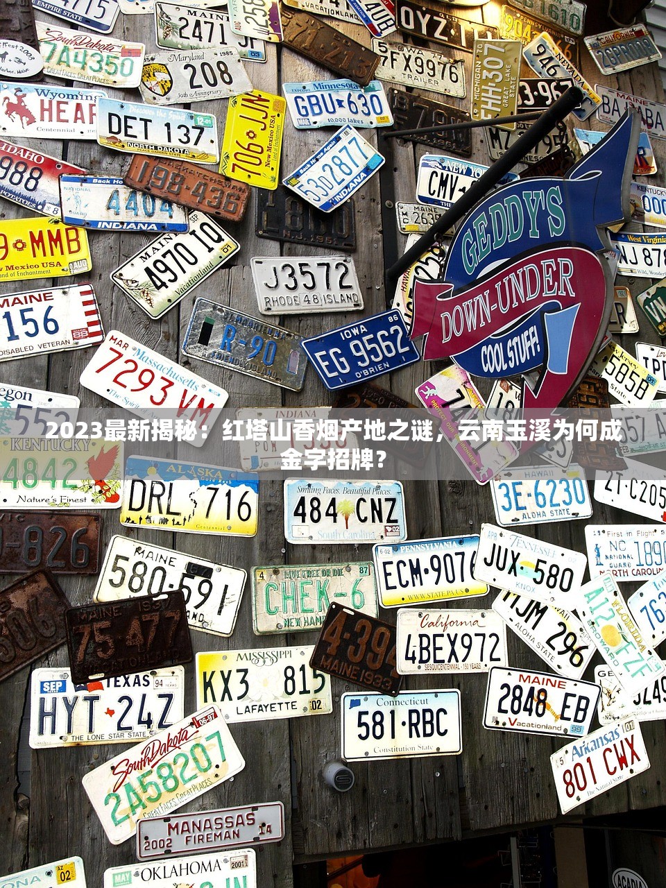 2025利群软阳光价格大起底：3月行情波动背后的秘密