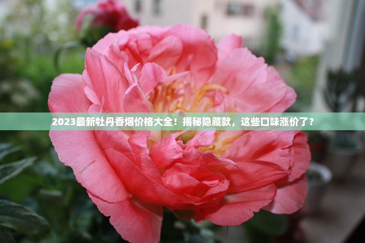 2023最新牡丹香烟价格大全！揭秘隐藏款，这些口味涨价了？