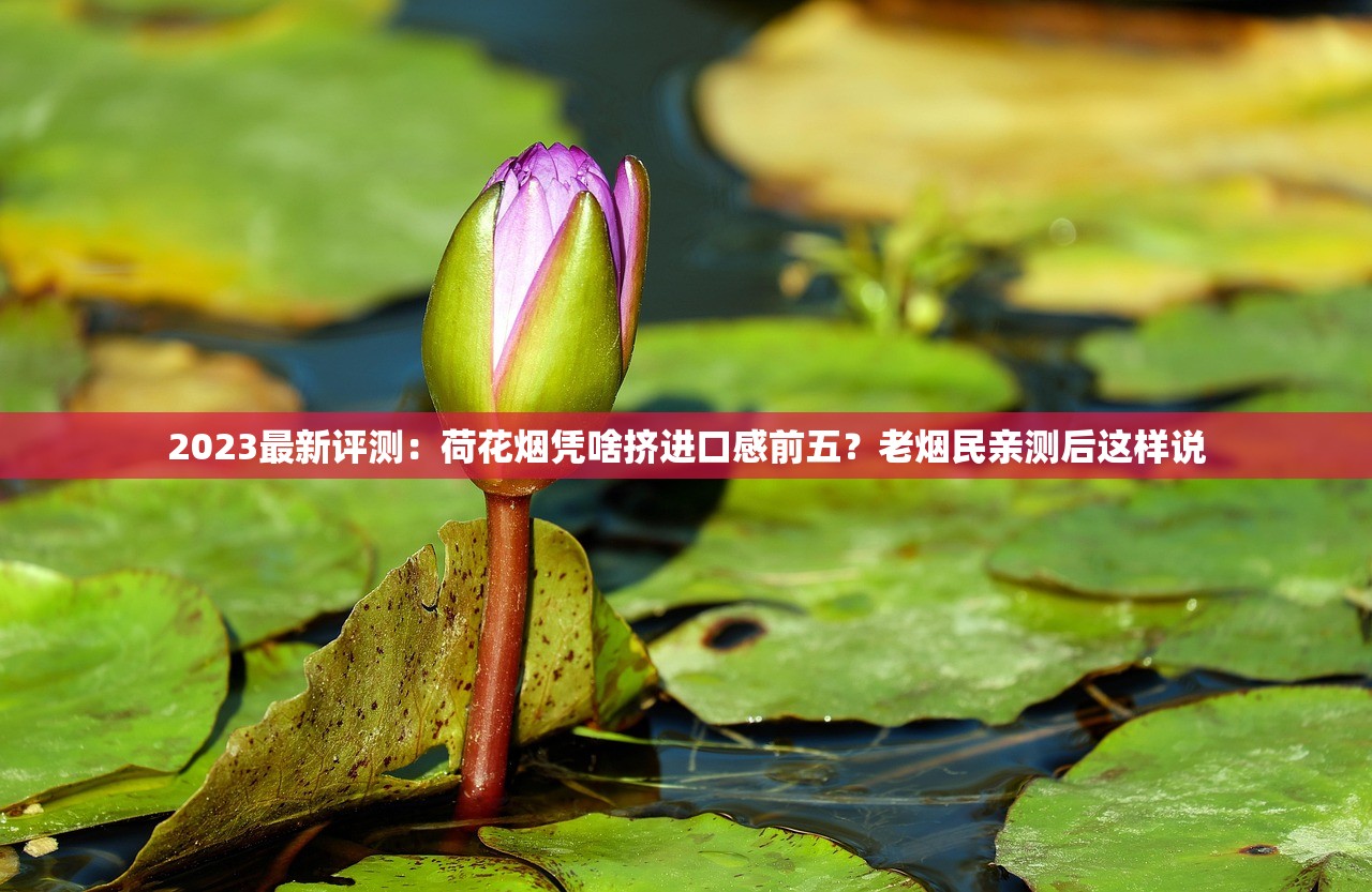 2023最新评测：荷花烟凭啥挤进口感前五？老烟民亲测后这样说