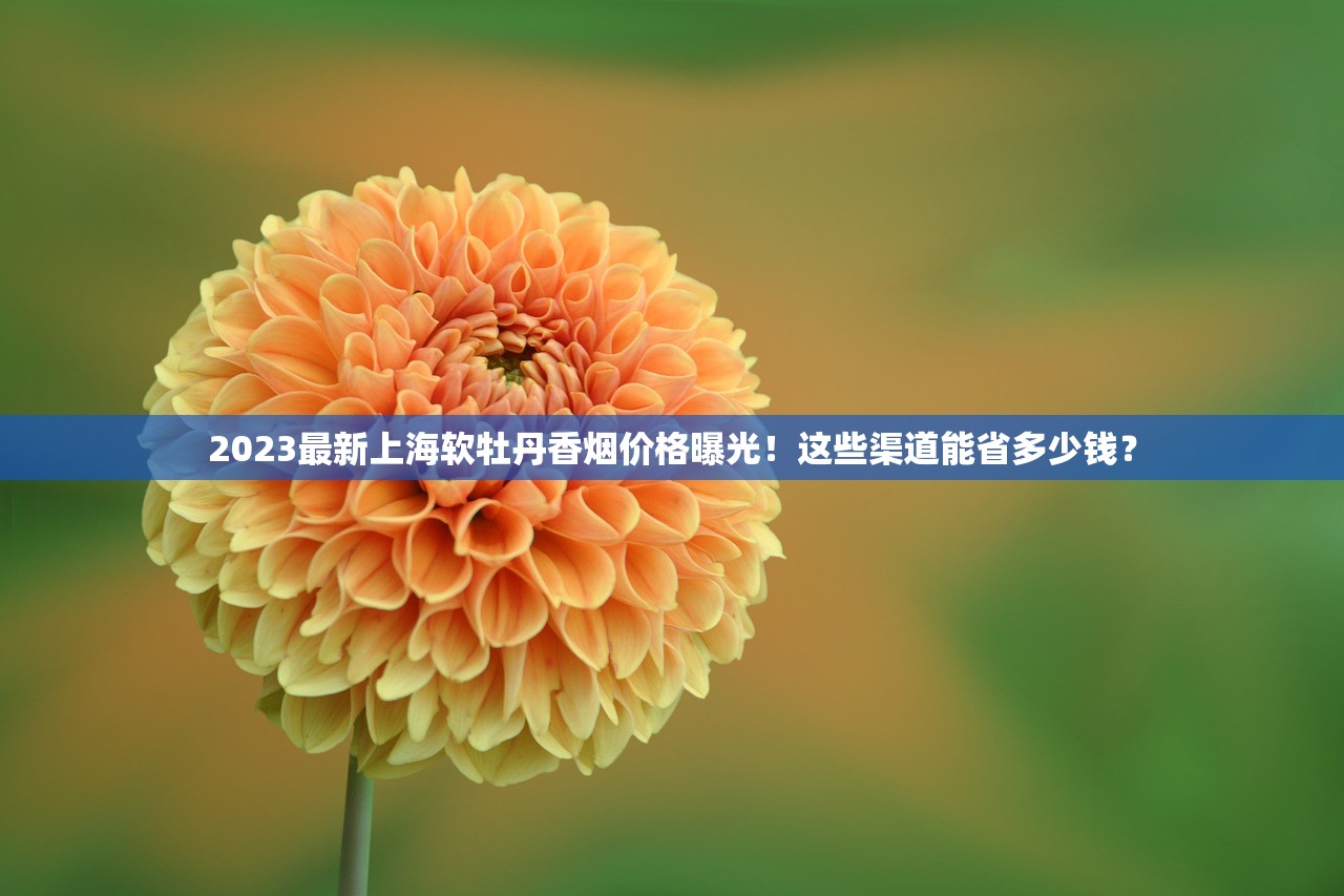 2023最新上海软牡丹香烟价格曝光！这些渠道能省多少钱？