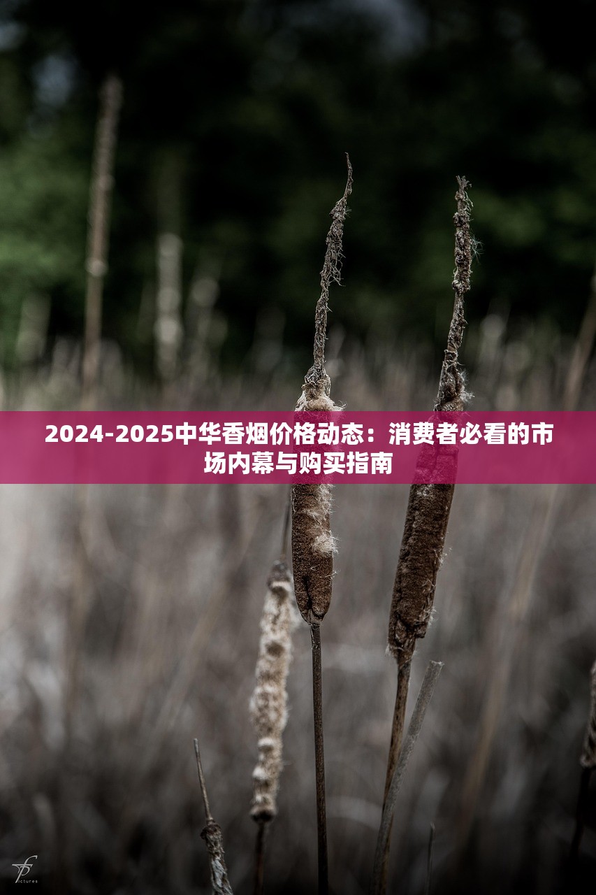 2024-2025中华香烟价格动态：消费者必看的市场内幕与购买指南